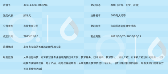 磐翼信息科技（上海） 專業信息咨詢服務，助力企業決策與創新